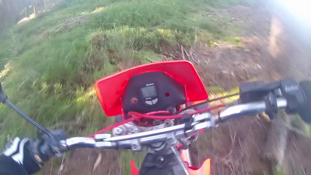 Gas Gas pampera 250  Lost in the Woods