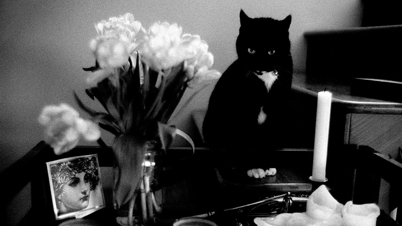Pushing Film: a lesson starring Kodak Double-X
