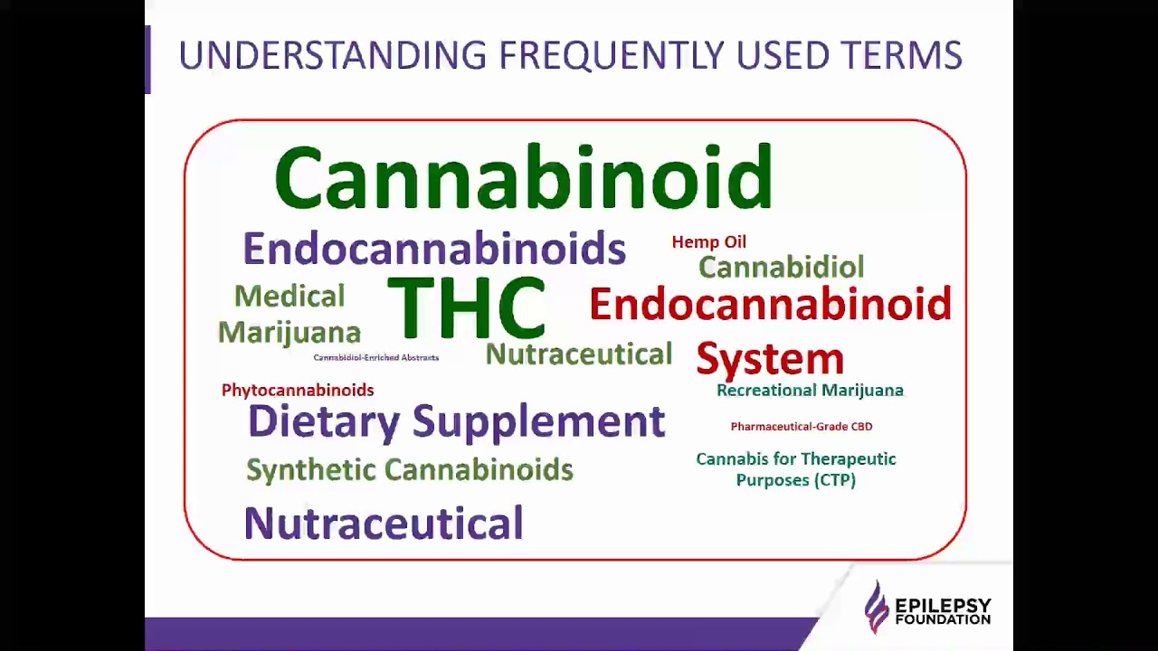 Cannabidiol and Epilepsy: An FDA Approved Therapy