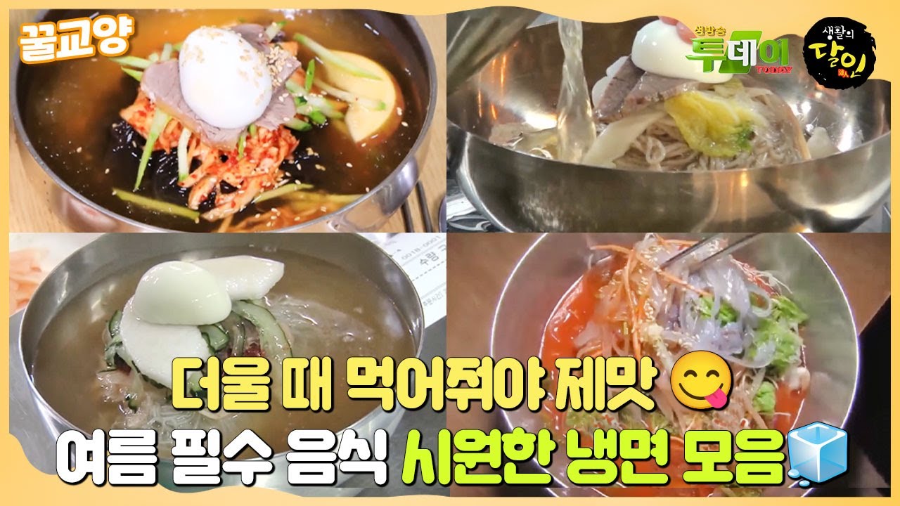 [꿀교양] 더울 때 먹어줘야 제맛😋 여름 필수 음식 ‘시원한 냉면’ 모음🧊 #생활의달인 #LittleBigMastersReview #SBSstory