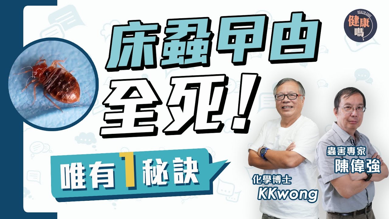 床蝨進化 煙霧彈殺不死反毒到自己 善用風筒肥皂水滅蝨｜如何分蚊咬蝨咬？留意1特徵｜家中3地方易藏蝨 教你用電筒快速檢查｜健康嗎@HealthCode【Chat醫D】#床蝨 #滅蝨 #防蝨