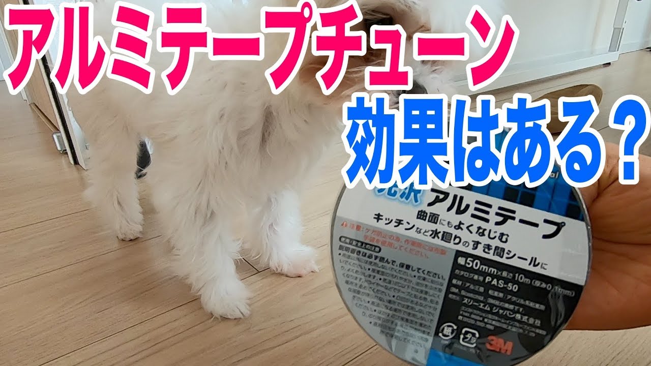 車にアルミテープチューン効果はある？貼った場所と乗ってみた感想