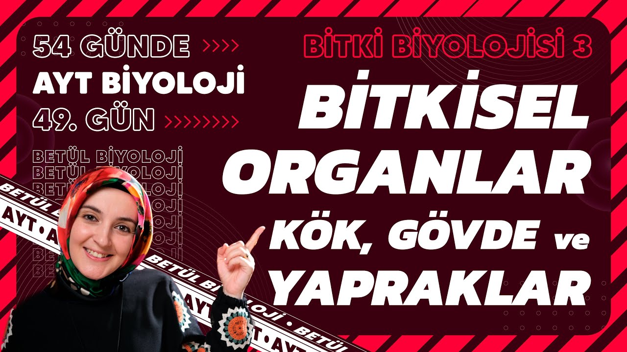 49) Bitkisel Organlar | Bitki Biyolojisi | 12. Sınıf Biyoloji | 2024 AYT Biyoloji 49. Gün