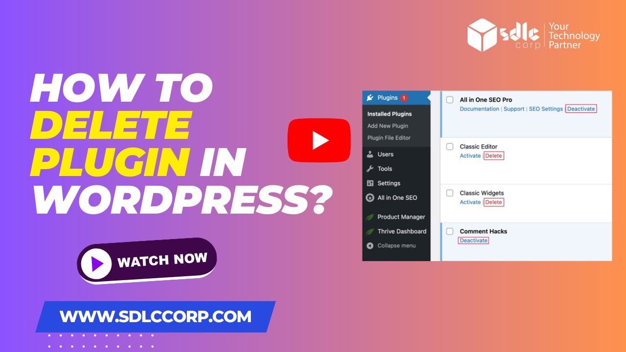 How to delete Plugin in WordPress?