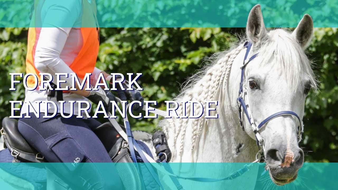 Заезд Foremark Endurance — первый ветеринарный этап Эстрид — Видеоблог 231 — Бет Эндьюранс