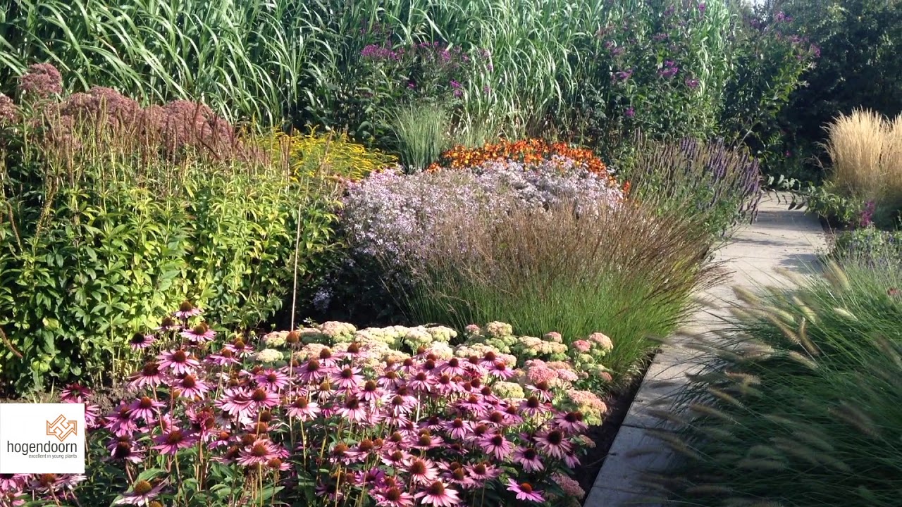TRIAL GARDEN - HOGENDOORN