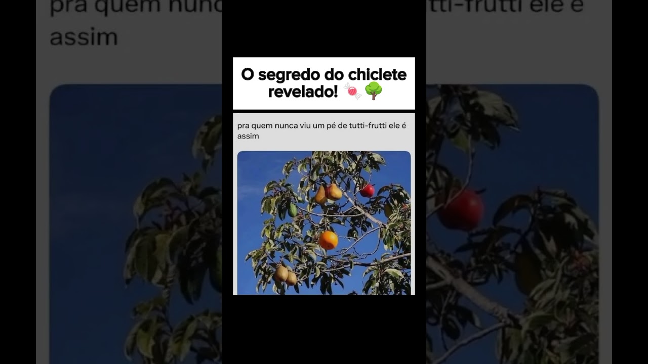 O segredo do chiclete revelado! 🍬🌳