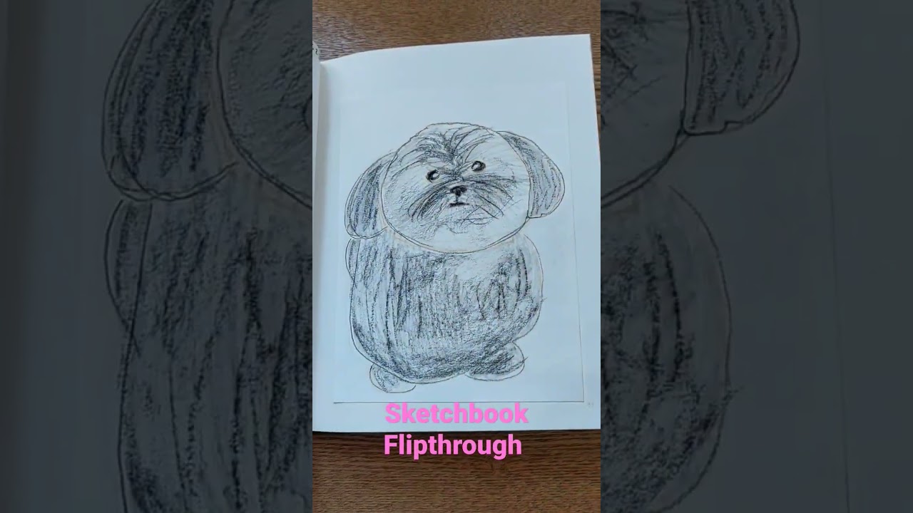 Sketchbook Flipthrough (full sketchbook tour coming soon!) #sketchbook #sketchbooktour #flipthrough