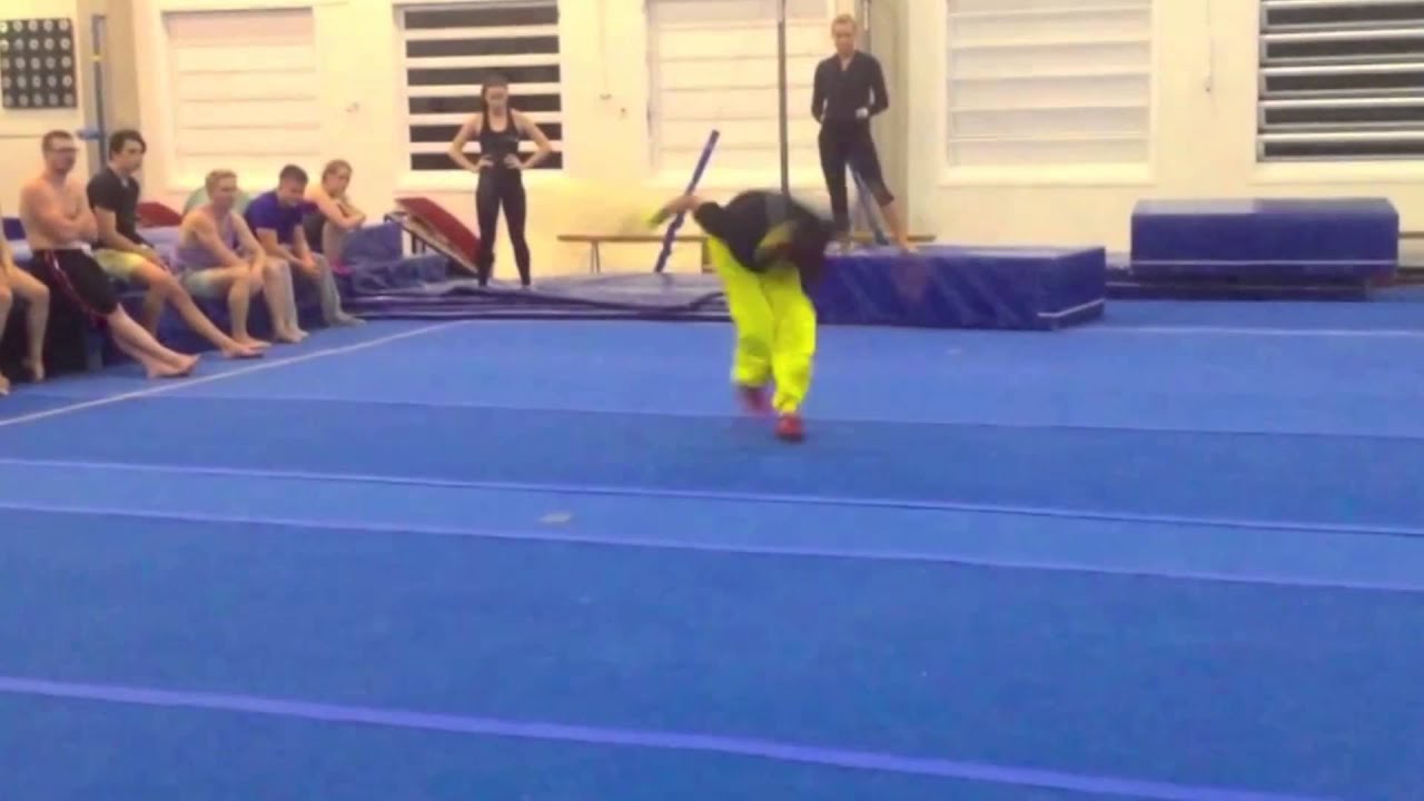 Temujin Wushu