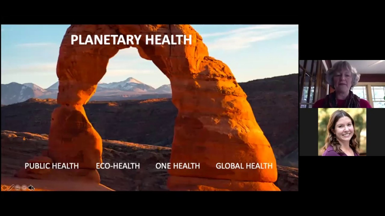 Planetary Health Webinar with Teddie Potter