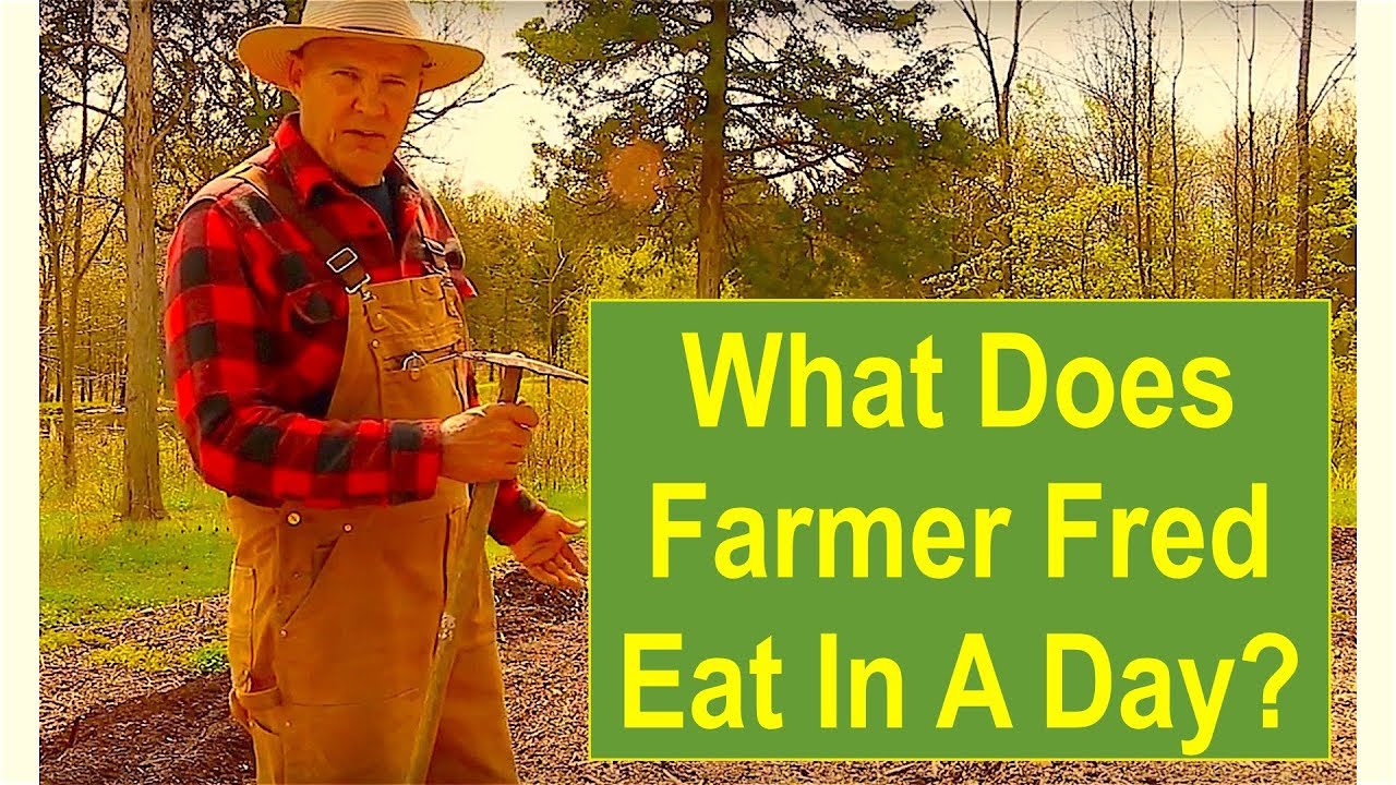 What Does Farmer Fred Eat In A Day?