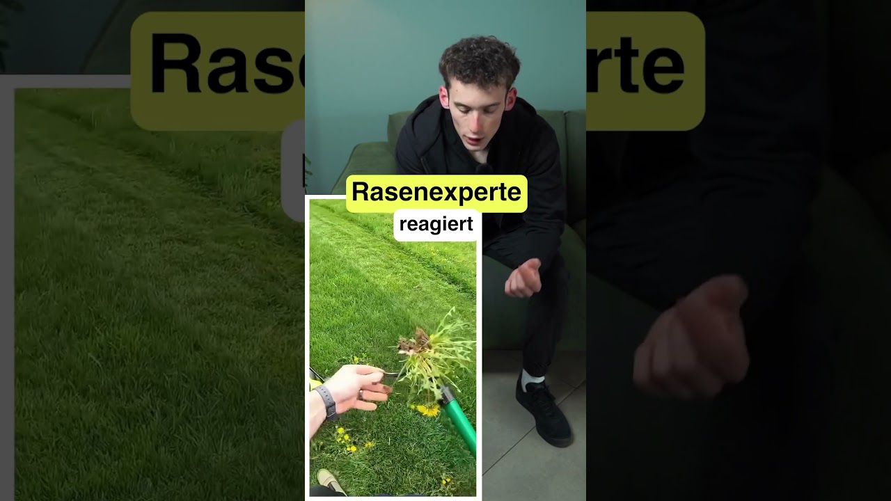 Rasenexperte reagiert auf Unkrautentfernung 