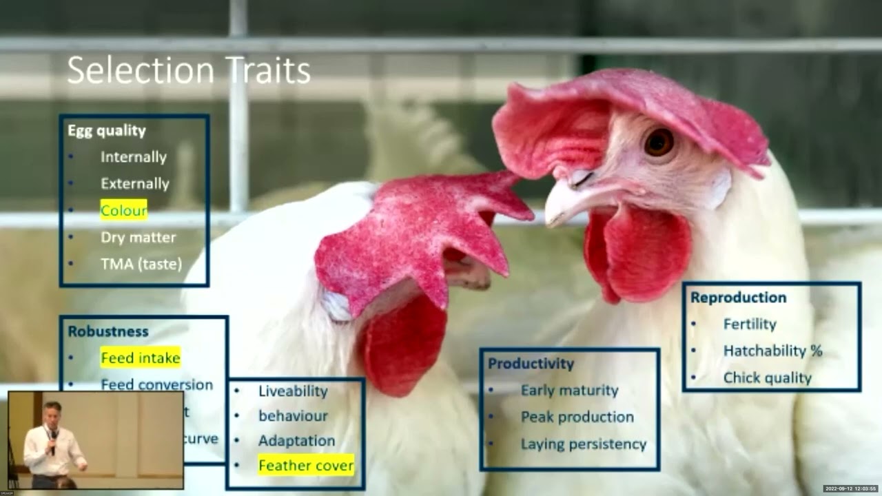 Setting the standard for Sustainable Animal Breeding - viewed by Hendrix Genetics