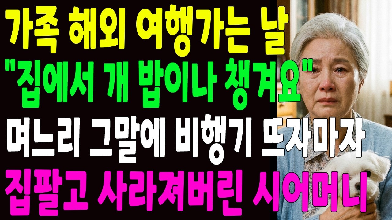 가족 해외 여행가는 날 ＂개 밥이나 잘 챙겨주세요＂ 며느리 그 말에 비행기 뜨자마자 집팔고 사라져버린 시어머니