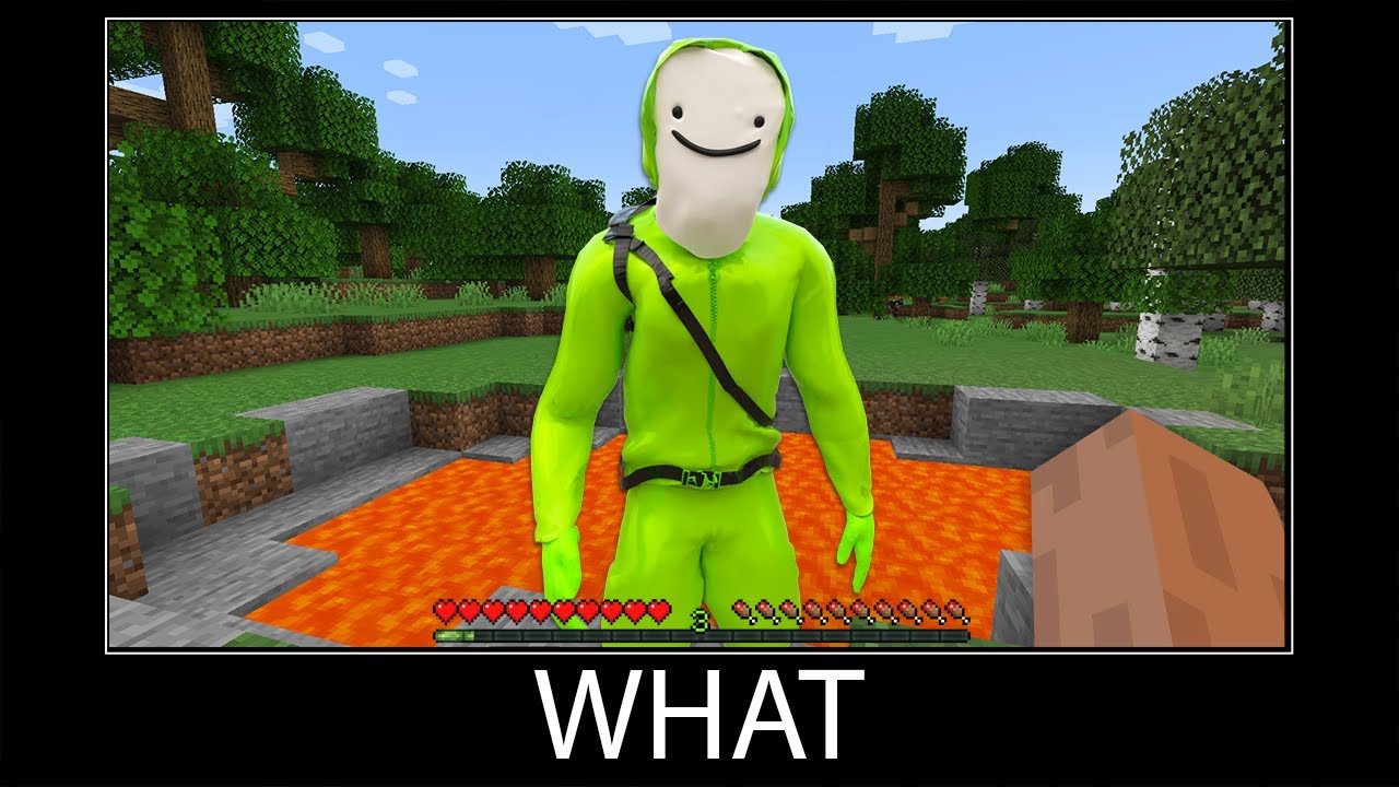 Minecraft wait what meme part 162 realistic minecraft Dream @dream