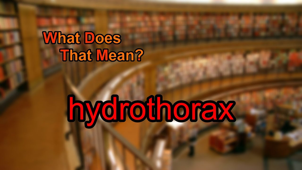 What does hydrothorax mean?
