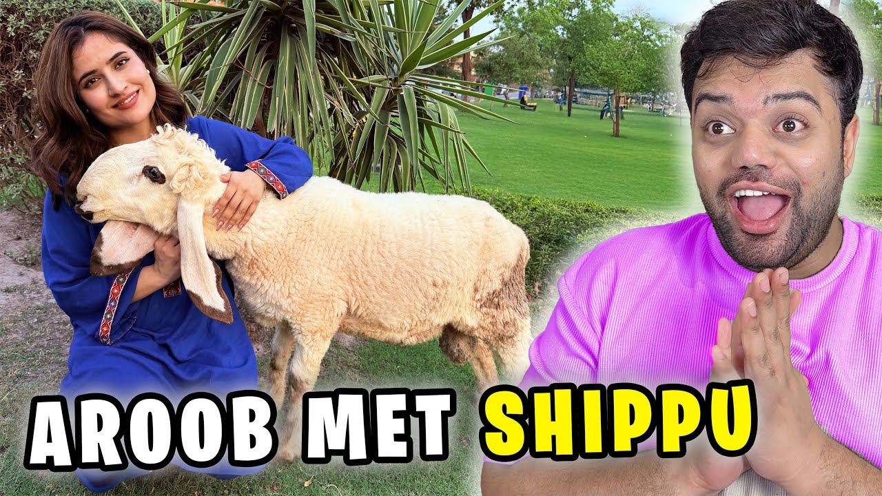 Aroob Ki Shippu Se Mulaqat Ho Gayi 😍 | Shippu Ko Ghar Le Aaye ❤️