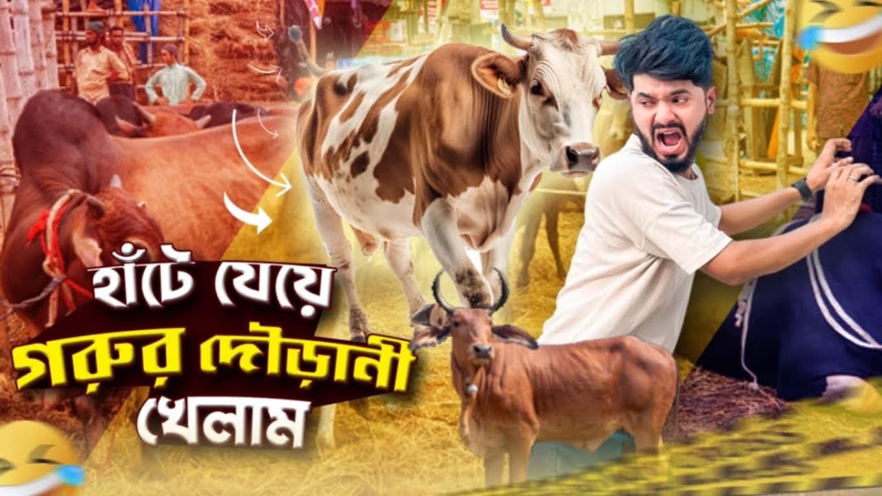 Я играл в коровьи бега, пока шёл 🐄 | КОРОВЬЕ БЕШЕНИЕ | КОРОВЬЯ ХИЖИНА ГАБТОЛИ | Мехеди Хассан