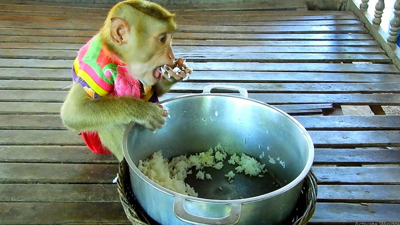 Cry In Heart SokYaa Hungry Much Until Eat Himself, Poor