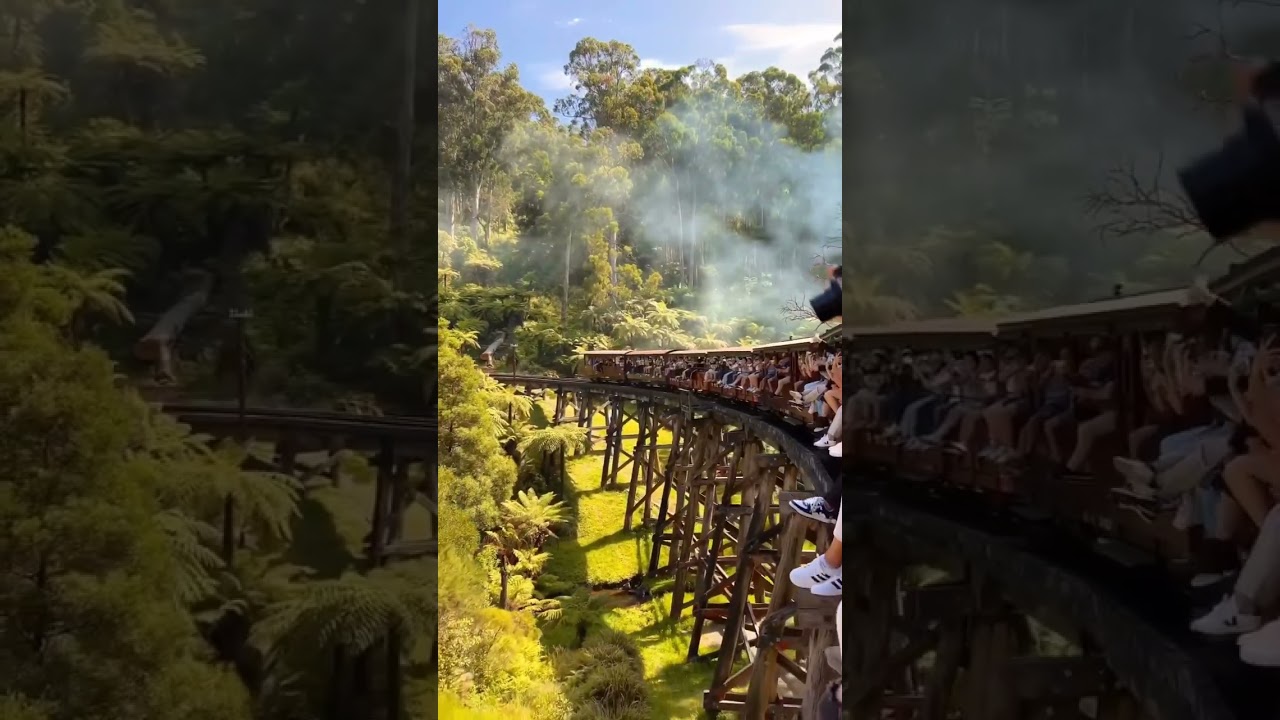 The Puffing Billy: &ldquo;Australia&rsquo;s favourite steam train&rdquo; 🚂📍Melbourne, Australia 🇦🇺📸 1amny #steamtrains