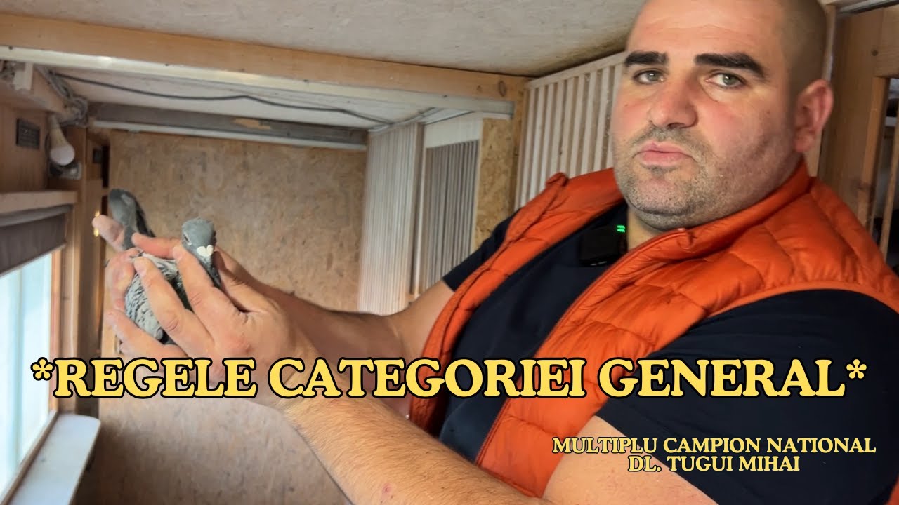 REGELE CATEGORIEI GENERAL - TUGUI MIHAI  I  Din Jud. Suceava