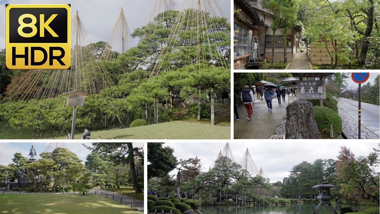 [8KHDR] Post-Rain Autumn Scenery: A Peaceful Stroll in Kanazawa's Kenrokuen Garden