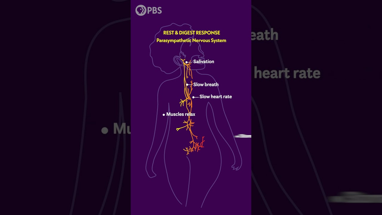 How Does Humming Help Calm Your Nervous System?