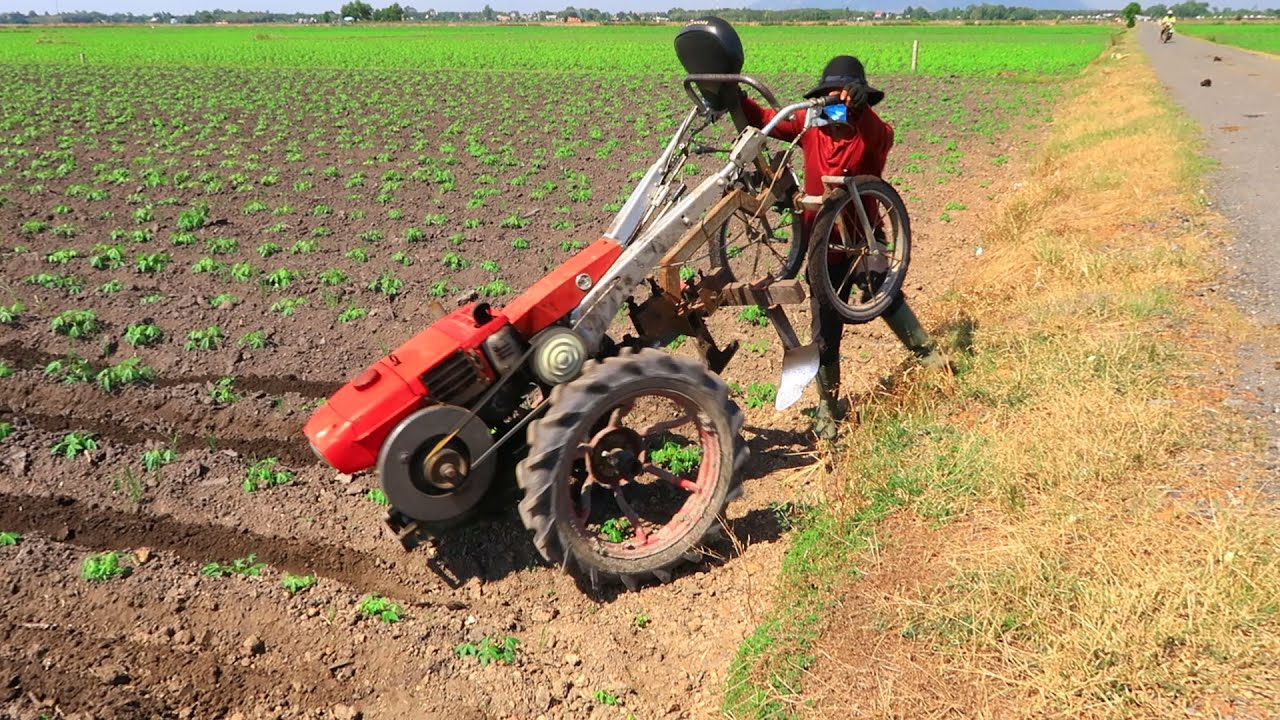 QUÁ KHỎE Thời 4.0 Máy Cày Tây Ninh Làm Cỏ Cho Cây Mì Kiếm Tiền TRIỆU Mỗi Ngày