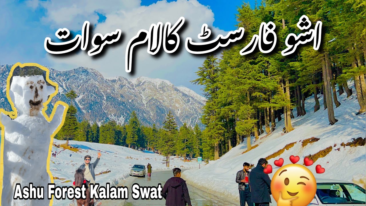 Asho Forest Kalam Swat #kalam #snow #travel #mountains #automobile #mountains #automobile #winter 