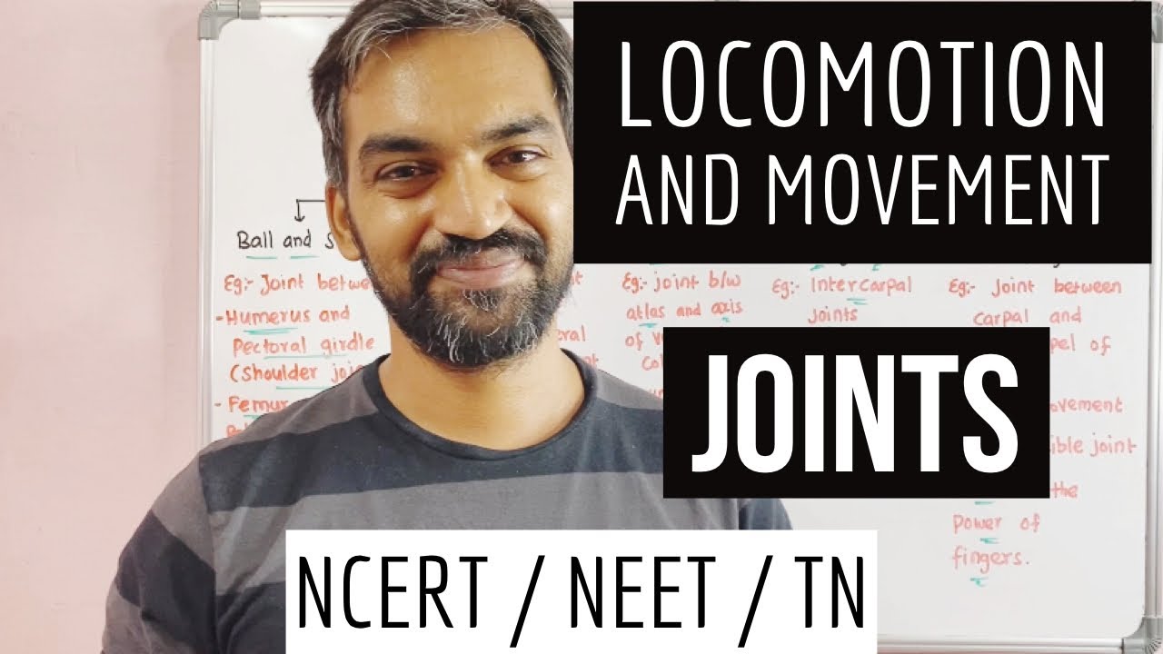 Joints | Locomotion and movement