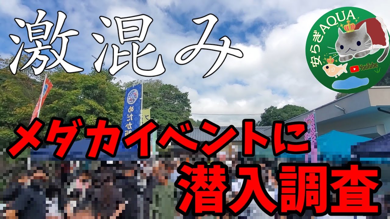【激混み】メダカイベントに潜入調査【駐車場満車であらまぁ～】販売開始前に撮影開始します。安らぎAQUAちゃんねる