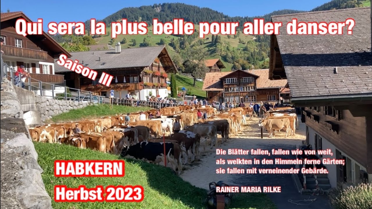 Qui sera la plus belle pour aller danser ? Saison III