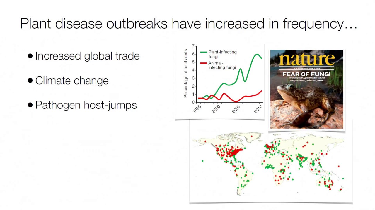Plenary Session – Plant Health is the Earth’s Wealth