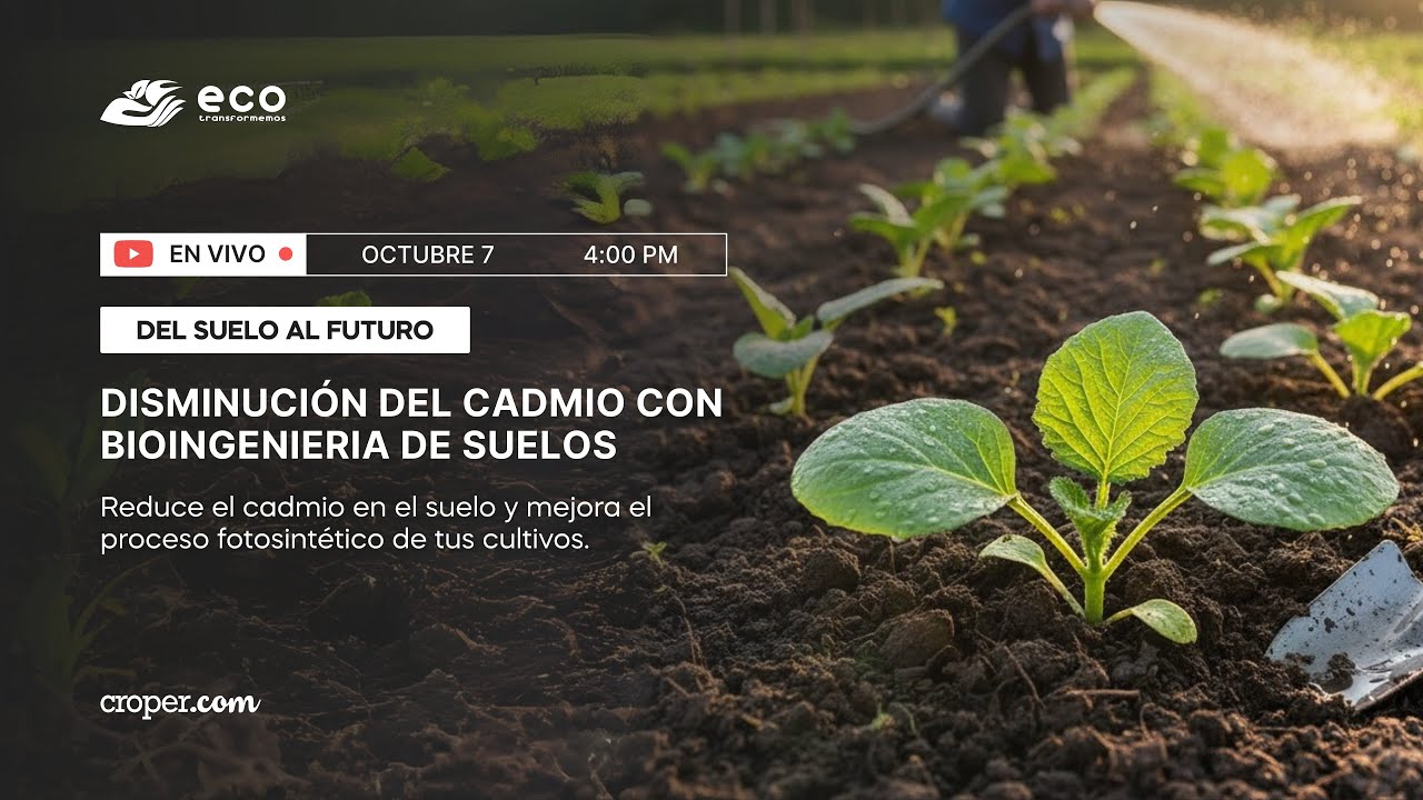 Disminución de Cadmio con Bioenergía del Suelo