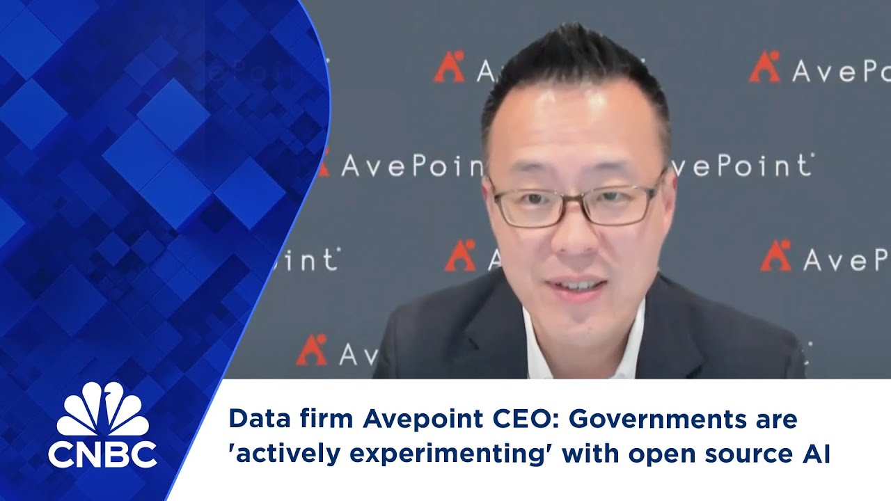 Data firm Avepoint CEO: Governments are 'actively experimenting' with open source AI models