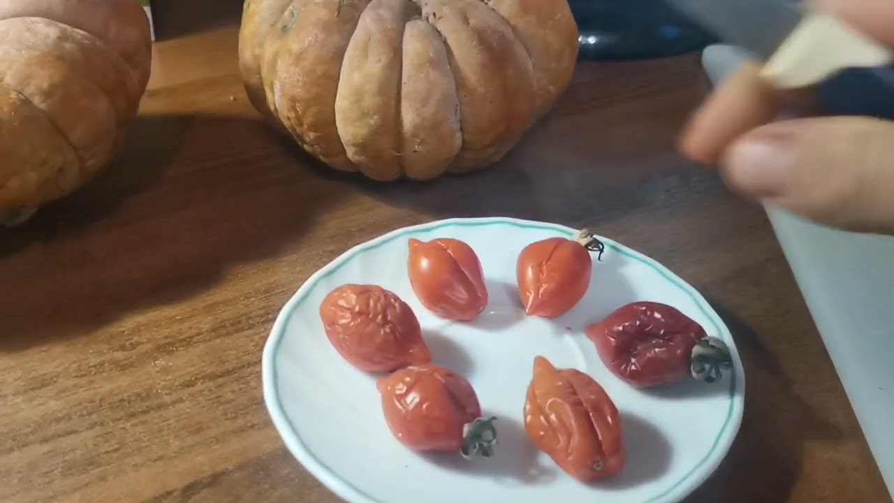 Можете больше ТОМАТЫ НЕ СЕЯТЬ!  6-ти МЕСЯЧНЫЕ Помидоры! хранятся в комнате до апреля!