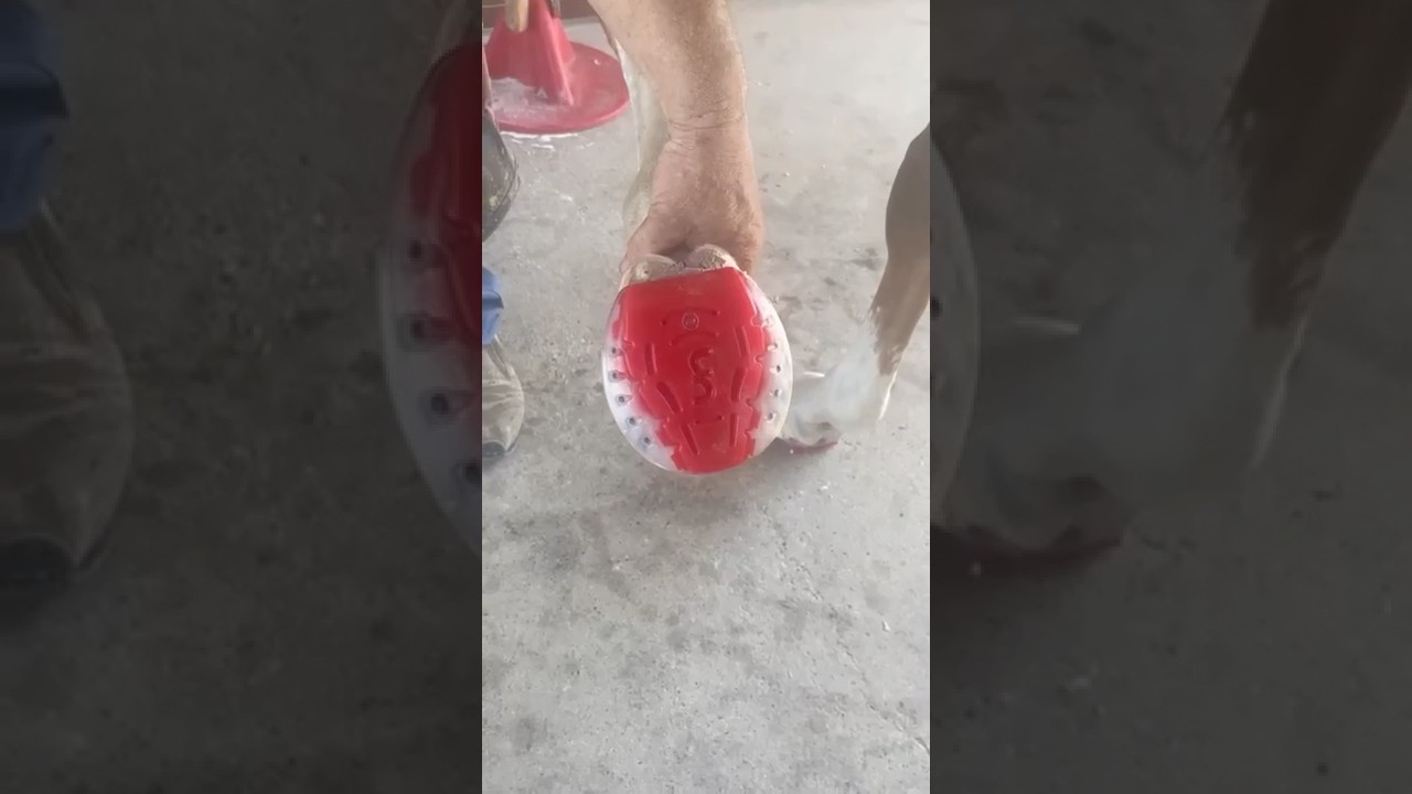 Composite Freedom Glue Application Overview