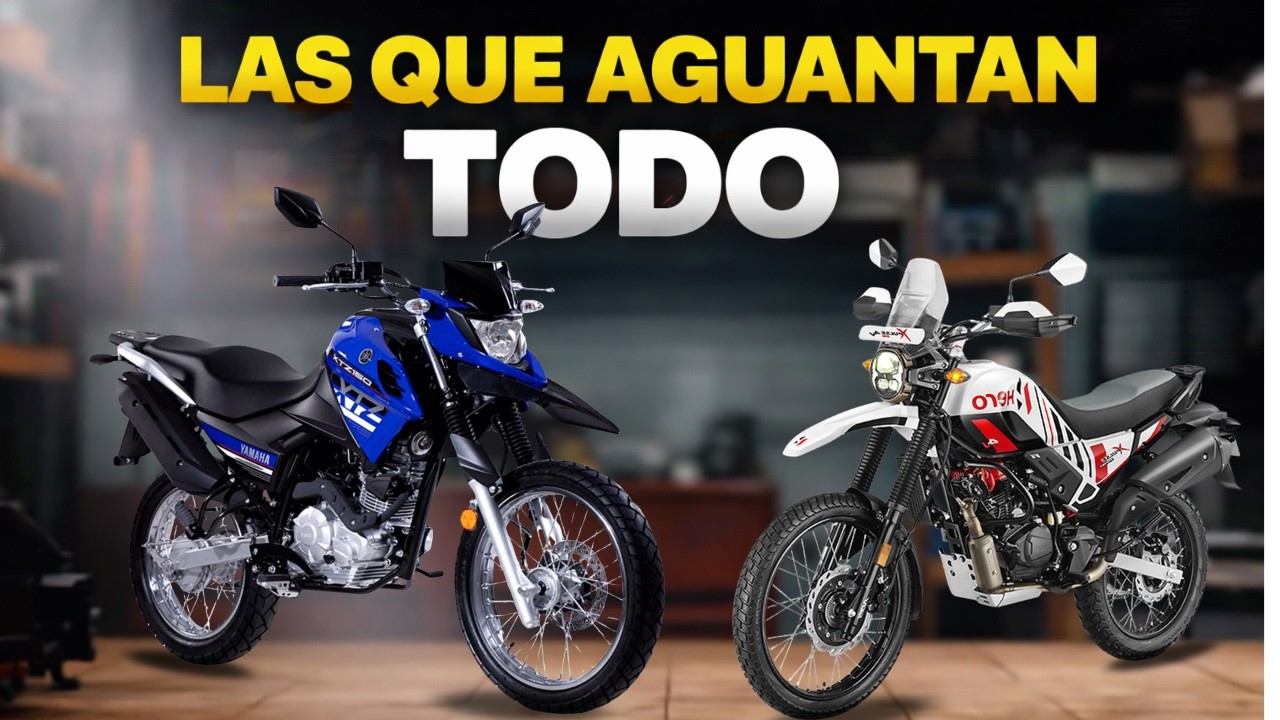 TOP 5 DOBLE PROPÓSITO 2026: LAS QUE SÍ AGUANTAN 💥