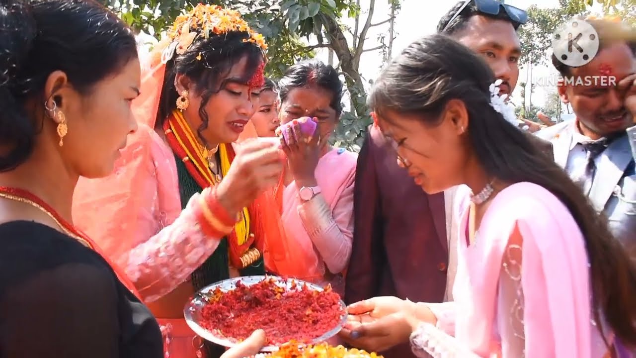 Pramod Weds Aakriti || 2081/11/5-7 B.S. || Tharu Cultural Marriage || Bidai