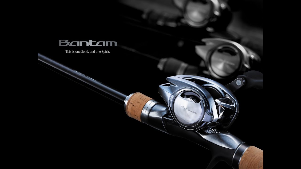 Shimano Bantam Reel Cleaning Bearing Upgrade