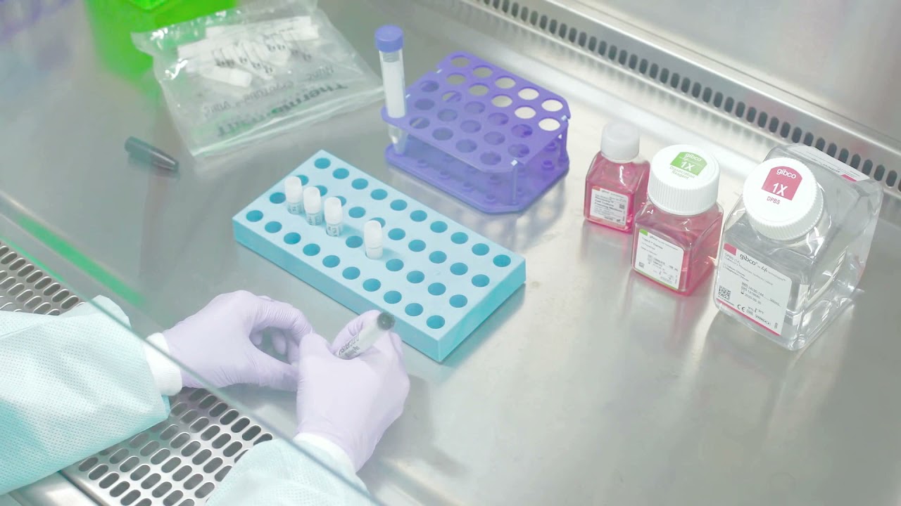 You are freezing cells wrong! How to freeze cells like a pro!