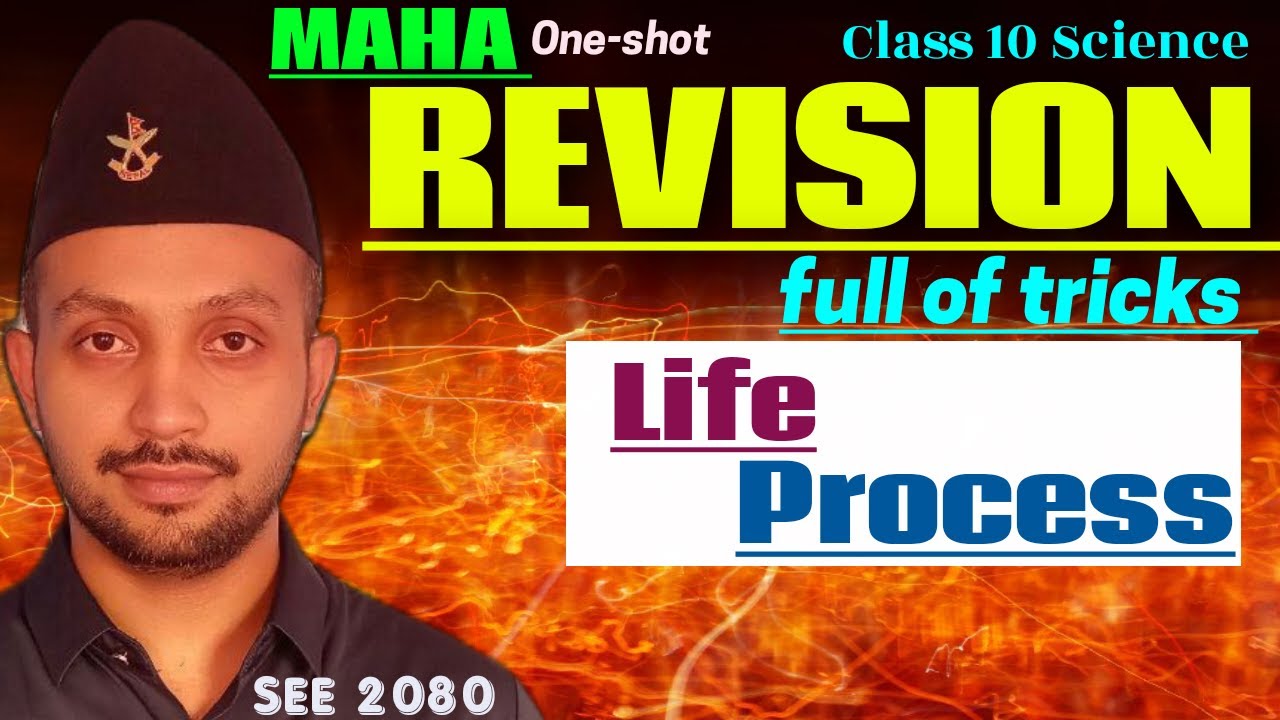 Life Process || Maha Revision || Class 10 Science in Nepali || SEE preparations