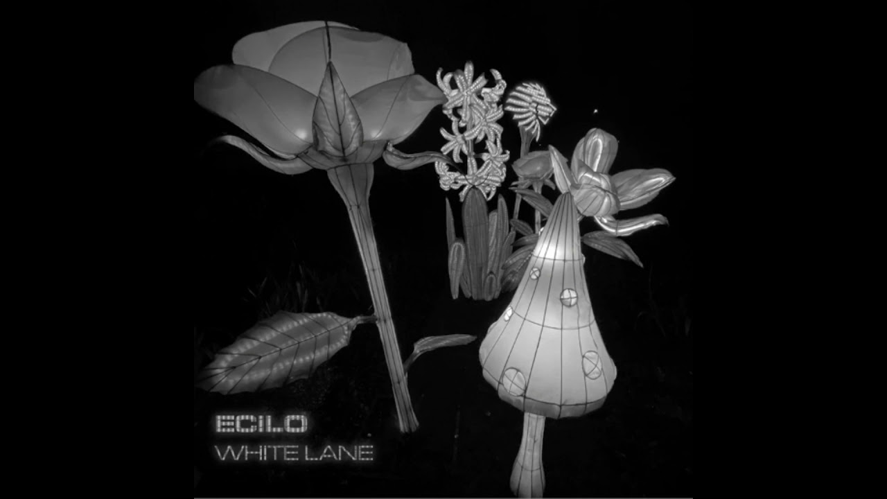 Ecilo - White Lane [WATB69]