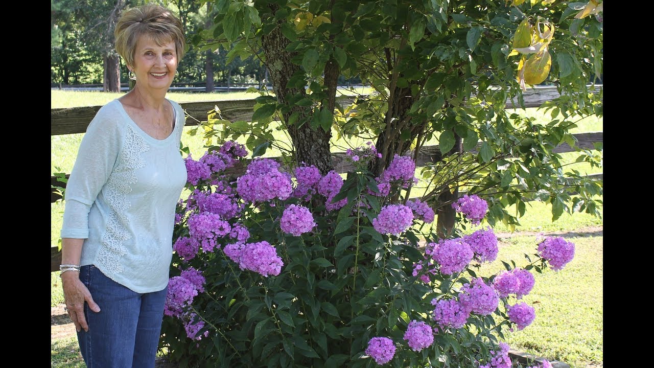 Heirloom Flowers of Houston County Tennessee