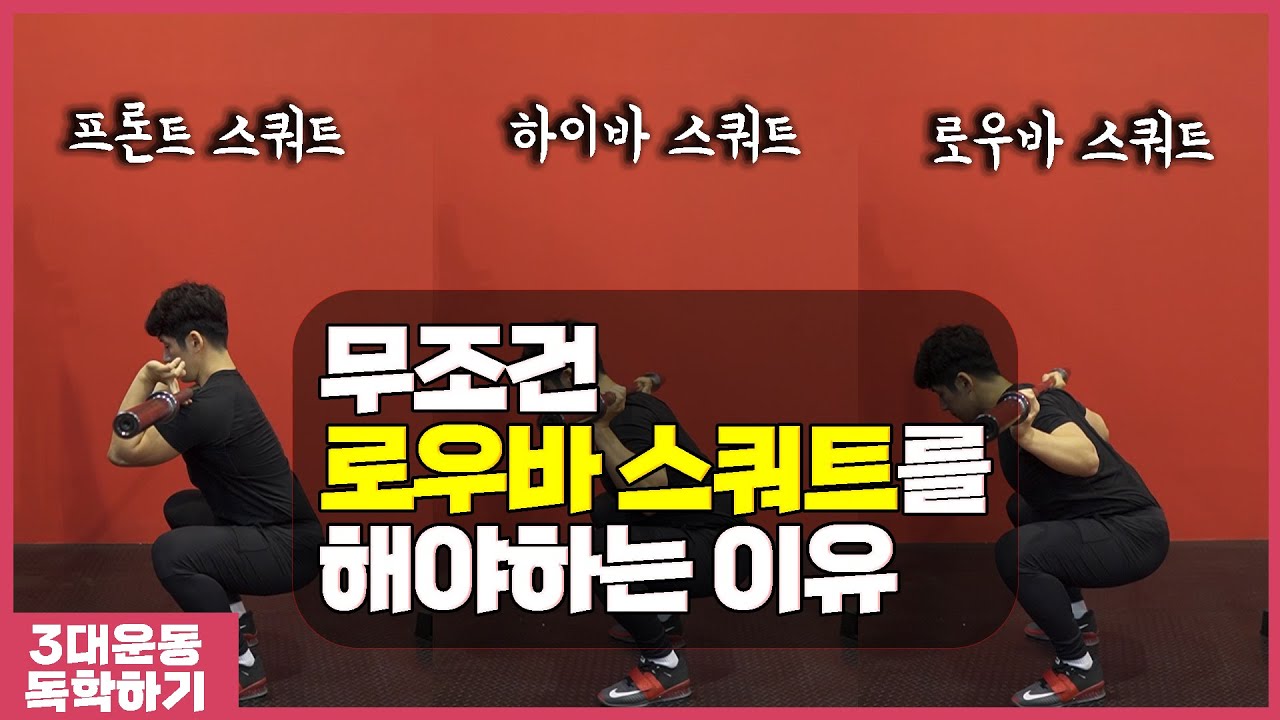 로우바 스쿼트(Low Bar Squat) | 다른 스쿼트와의 차이점 | 견착방법 | 자세 체크포인트3가지