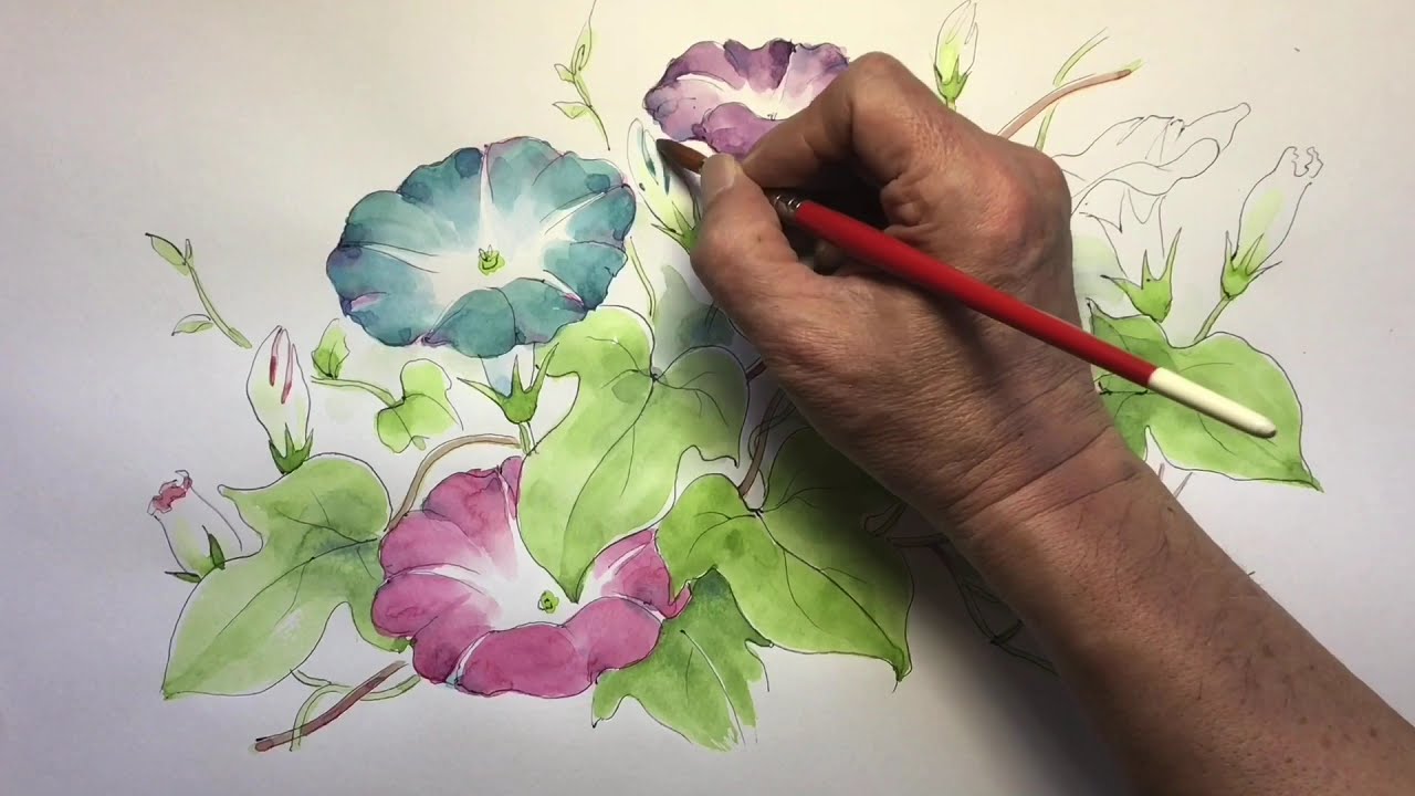 アサガオの描き方(解説)