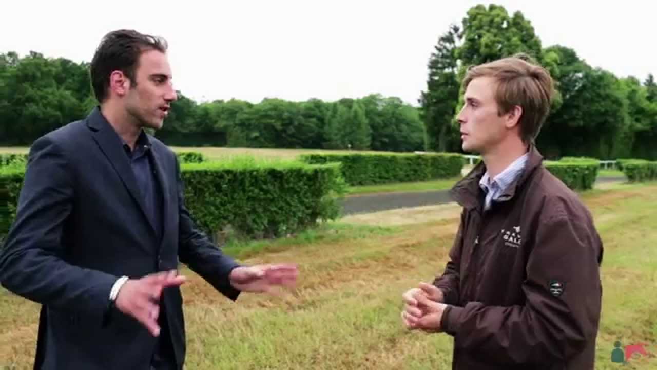 Dernières hésitations avant de devenir propriétaire d'un cheval de course