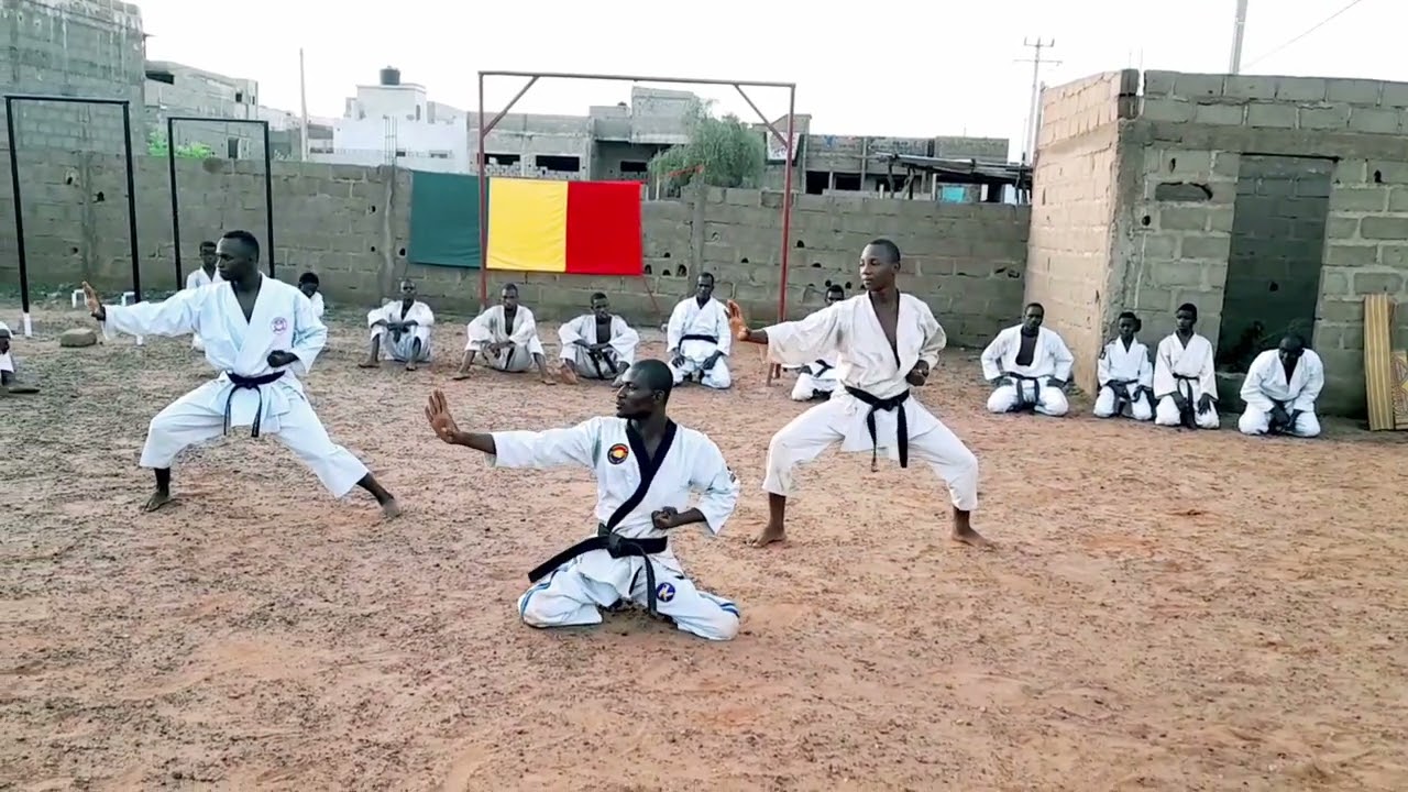Sanoussi Coulibaly🥋et ses disciples en action🥋🇲🇱🇲🇱💪réalisé par Amadou Coulibaly🇲🇱🥋(ceinture noire 1)