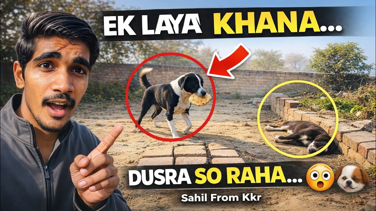 Dogesh Bhai Ki Mata Khana Laayi 😲 | Dogesh Ne Khana Zameen Me Daba Diya 😂 | Sahil From Kkr