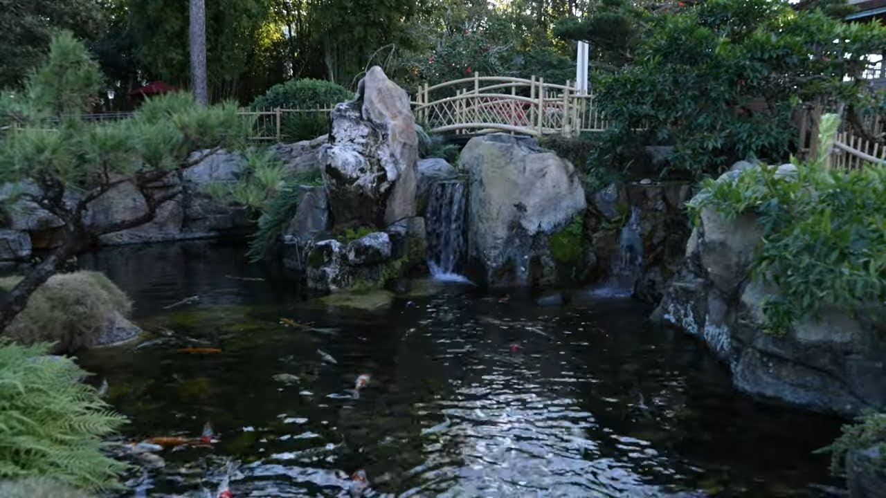 Cold Morning Calm at EPCOT’s Japan Pavilion | Koi Pond Garden Ambience (4K)